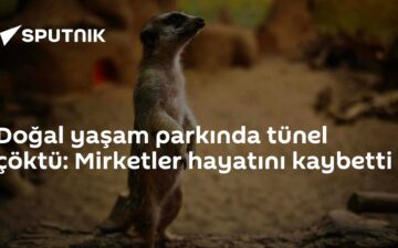 tünel çökmesi