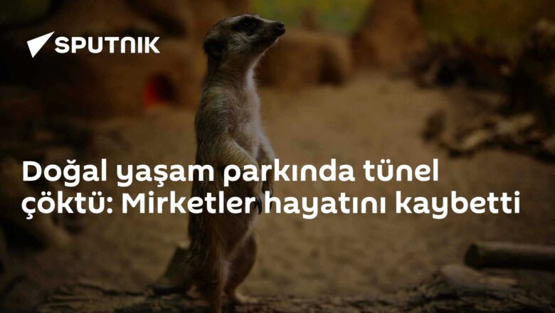 tünel çökmesi
