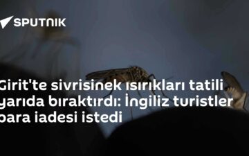 Sivrisinek ısırıkları
