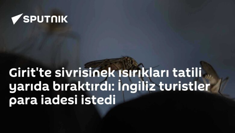 Sivrisinek ısırıkları