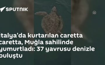 Azimut